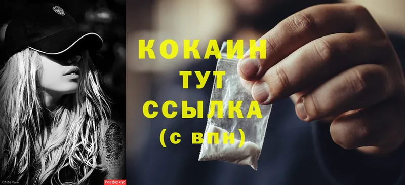 что такое   Зеленогорск  Cocaine Боливия 